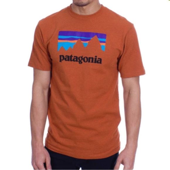 Patagonia Other - Patagonia 
Tee T-Shirt